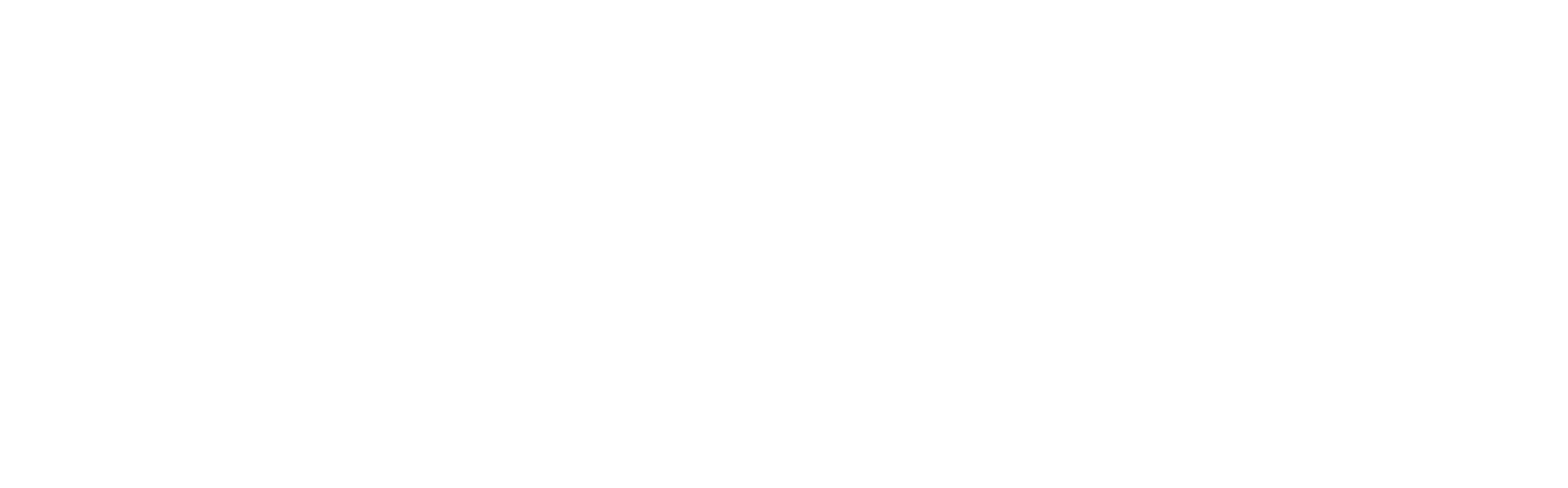 alfonsino-logo-api